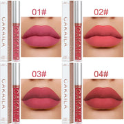 1 Pcs Waterproof Lip Gloss Lipstick Set - Nude, Dark Brown & Matte Red Shades, Long-Lasting 24-Hour Wear, Suitable for All Skin