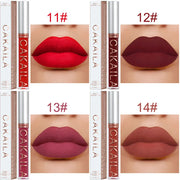 1 Pcs Waterproof Lip Gloss Lipstick Set - Nude, Dark Brown & Matte Red Shades, Long-Lasting 24-Hour Wear, Suitable for All Skin
